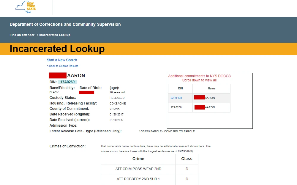 A screenshot of the Incarcerated Lookup page from the Department of Corrections and Community Supervision website shows the results, which include information such as the offender's full name, DIN, race, status, housing/releasing facility, county, date received, admission type and crime information.