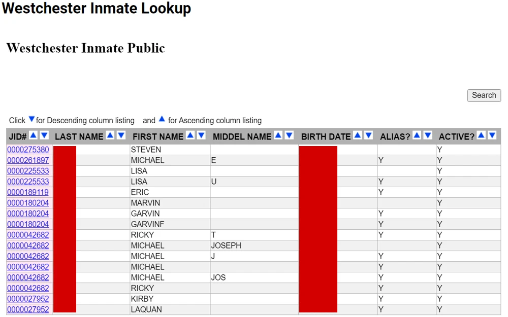 A screenshot of the Westchester Inmate Lookup tool displays search results, including inmate name, birth date, alias, booking number, custody status, booking date, and next court date, along with search and back buttons.
